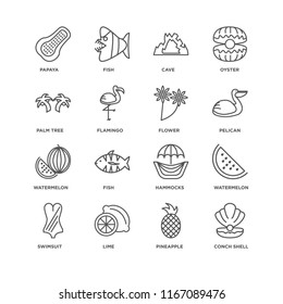 Set Of 16 simple line icons such as Conch shell, Pineapple, Lime, Swimsuit, Watermelon, Papaya, Palm tree, Flower, editable stroke icon pack, pixel perfect
