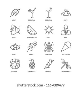 Set Of 16 simple line icons such as Dragon fly, Parrot, Pineapple, Oyster, Ice cream, Leaf, Fish, Sun, editable stroke icon pack, pixel perfect