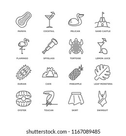 Set Of 16 simple line icons such as Swimsuit, Skirt, Toucan, Oyster, Leaf monstera, Papaya, Flamingo, Durian, Tortoise, editable stroke icon pack, pixel perfect