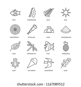 Set Of 16 simple line icons such as Leaf, Albatross, Ice cream, Pineapple, Fish, Grapefruit, Cave, editable stroke icon pack, pixel perfect