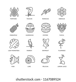 Set Of 16 simple line icons such as Lemon juice, Pelican, Lime, Fish, Flamingo, Tortoise, Pineapple, Leaf monstera, Oyster, editable stroke icon pack, pixel perfect