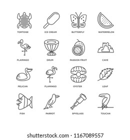 Set Of 16 simple line icons such as Toucan, Spyglass, Parrot, Fish, Leaf, Tortoise, Flamingo, Pelican, Passion fruit, editable stroke icon pack, pixel perfect