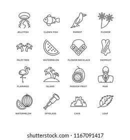 Set Of 16 simple line icons such as Leaf, Cave, Spyglass, Watermelon, Man, Jellyfish, Palm tree, Flamingo, Flower necklace, editable stroke icon pack, pixel perfect