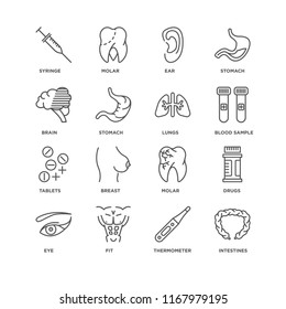 Set Of 16 simple line icons such as Intestines, Thermometer, Fit, Eye, Drugs, Syringe, Brain, Tablets, Lungs, editable stroke icon pack, pixel perfect