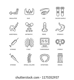 Set Of 16 simple line icons such as Drugs, Intestines, Spinal column, Syringe, Uterus, Inhalator, Anesthesia, Penis, editable stroke icon pack, pixel perfect