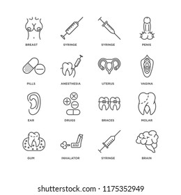 Set Of 16 simple line icons such as Brain, Syringe, Inhalator, Gum, Molar, Breast, Pills, Ear, Uterus, editable stroke icon pack, pixel perfect