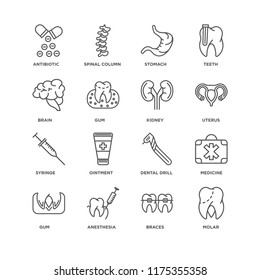 Set Of 16 simple line icons such as Molar, Braces, Anesthesia, Gum, Medicine, Antibiotic, Brain, Syringe, Kidney, editable stroke icon pack, pixel perfect