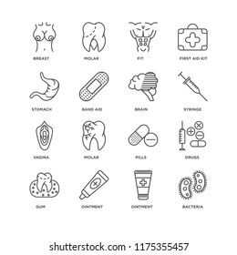 Set Of 16 simple line icons such as Bacteria, Ointment, Gum, Drugs, Breast, Stomach, Vagina, Brain, editable stroke icon pack, pixel perfect