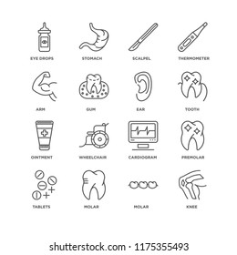 Set Of 16 Simple Line Icons Such As Knee, Molar, Tablets, Premolar, Eye Drops, Arm, Ointment, Ear, Editable Stroke Icon Pack, Pixel Perfect