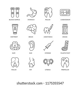 Set Of 16 simple line icons such as Premolar, Uterus, Fat, Molar, Plaste foot, Blood sample, Ointment, Gum, Anesthesia, editable stroke icon pack, pixel perfect