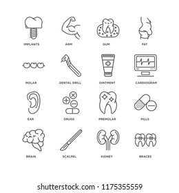 Set Of 16 Simple Line Icons Such As Braces, Kidney, Scalpel, Brain, Pills, Implants, Molar, Ear, Ointment, Editable Stroke Icon Pack, Pixel Perfect