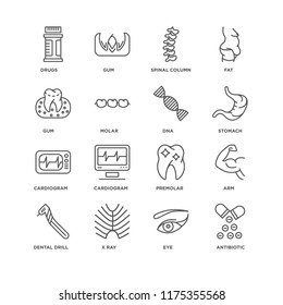 Set Of 16 simple line icons such as Antibiotic, Eye, X ray, Dental drill, Arm, Drugs, Gum, Cardiogram, Dna, editable stroke icon pack, pixel perfect