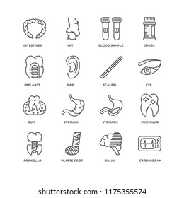 Set Of 16 simple line icons such as Cardiogram, Brain, Plaste foot, Premolar, Intestines, Implants, Gum, Scalpel, editable stroke icon pack, pixel perfect