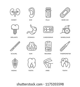 Set Of 16 simple line icons such as Tooth, Knee, Vagina, Thermometer, Kidney, Implants, Scalpel, Cardiogram, editable stroke icon pack, pixel perfect