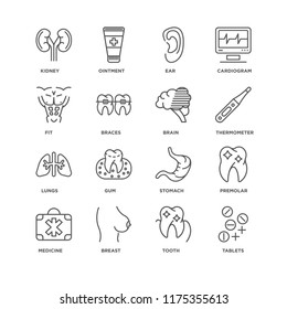 Set Of 16 simple line icons such as Tablets, Tooth, Breast, Medicine, Premolar, Kidney, Fit, Lungs, Brain, editable stroke icon pack, pixel perfect