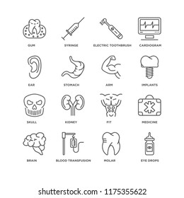 Set Of 16 simple line icons such as Eye drops, Molar, Blood transfusion, Brain, Medicine, Gum, Ear, Skull, Arm, editable stroke icon pack, pixel perfect