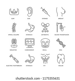 Set Of 16 simple line icons such as Molar, Fit, Stomach, Electric toothbrush, Dna, Gum, Spinal column, Skeleton, Antibiotic, editable stroke icon pack, pixel perfect
