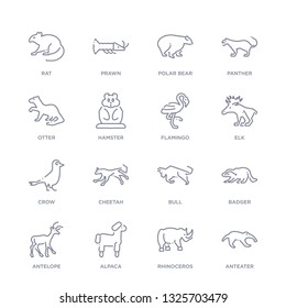 set of 16 thin linear icons such as anteater, rhinoceros, alpaca, antelope, badger, bull, cheetah from animals collection on white background, outline sign icons or symbols