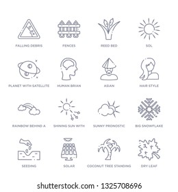 set of 16 thin linear icons such as dry leaf, coconut tree standing, solar, seeding, big snowflake, sunny pronostic, shining sun with rays from nature collection on white background, outline sign