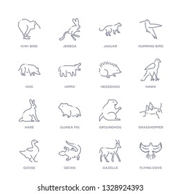 set of 16 thin linear icons such as flying dove, gazelle, gecko, goose, grasshopper, groundhog, guinea pig from animals and wildlife collection on white background, outline sign icons or symbols