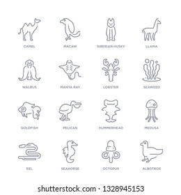 Set Of 16 Thin Linear Icons Such As Albotros, Octopus, Seahorse, Eel, Medusa, Hummerhead, Pelican From Animals Collection On White Background, Outline Sign Icons Or Symbols