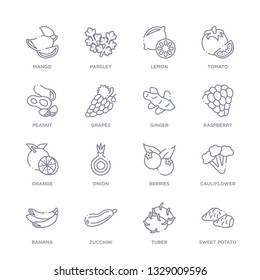 set of 16 thin linear icons such as sweet potato, tuber, zucchini, banana, cauliflower, berries, onion from fruits and vegetables collection on white background, outline sign icons or symbols