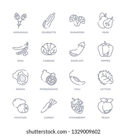 set of 16 thin linear icons such as peach, strawberry, carrot, potatoes, lettuce, chili, pomegranate from fruits collection on white background, outline sign icons or symbols