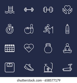 Set Of 16 Training Outline Icons Set.Collection Of Dumbbell, Exercise Bike, Running Track And Other Elements.