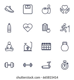 Set Of 16 Training Outline Icons Set.Collection Of Yoga, Dumbbell, Training And Other Elements.