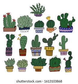 A set of 16 types of cacti in painted flower pots. Vector graphics for the design of botanical magazines and illustrations.