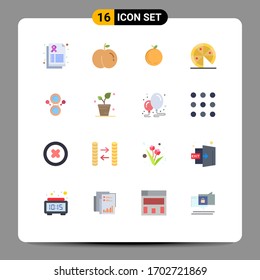 Conjunto de 16 colores planos vectoriales en la rejilla para el muelle; hoja; chino; símbolo; paquete editable de espejado de elementos de diseño de vectores creativos