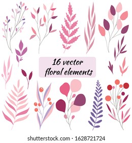 Set of 16 vector floral elements - leaves, branches, herbs, berries. Botanical illustration isolated on white background.