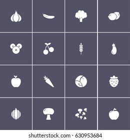 set of 16 vegetable icons