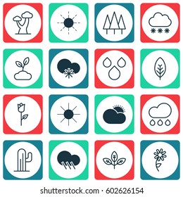 Set Of 16 World Icons. Includes Cold Climate, Forest, Tree Leaf And Other Symbols. Beautiful Design Elements.