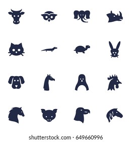 Set Of 16 Zoo Icons Set.Collection Of Tortoise, Steed, Rhinoceros And Other Elements.