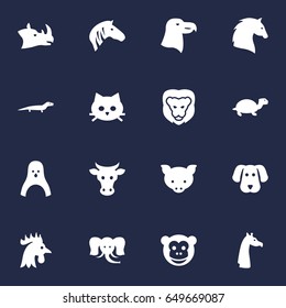 Set Of 16 Zoo Icons Set.Collection Of Camelopard, Kine, Hog And Other Elements.