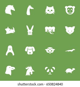 Set Of 16 Zoo Icons Set.Collection Of Ape, Camelopard, Steed And Other Elements.