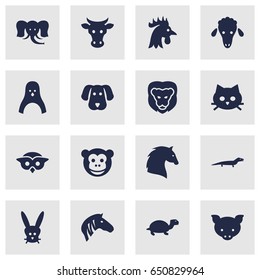 Set Of 16 Zoo Icons Set.Collection Of Steed, Hound, Trunked Animal And Other Elements.