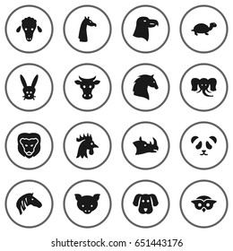 Set Of 16 Zoo Icons Set.Collection Of Rooster, Bunny, Camelopard And Other Elements.