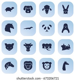 Set Of 16 Zoo Icons Set.Collection Of Gecko, Wildcat, Horse And Other Elements.