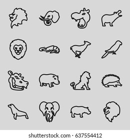 set of 16 zoo outline icons such as lion, hippopotamus, alligator, hedgehog, antelope, parrot, elephant