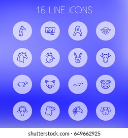 Set Of 16 Zoo Outline Icons Set.Collection Of Giraffe, Eagle, Pig And Other Elements.