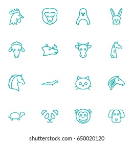 Set Of 16 Zoo Outline Icons Set.Collection Of Giraffe, Sheep, Mammal And Other Elements.