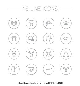 Set Of 16 Zoo Outline Icons Set.Collection Of Lizard, Mammal, Eagle And Other Elements.