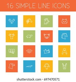 Set Of 16 Zoo Outline Icons Set.Collection Of Sheep, Mammal, Rhino And Other Elements.
