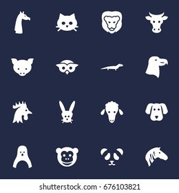 Set Of 16 Zoology Icons Set.Collection Of Lamb, Gecko, Pussy And Other Elements.