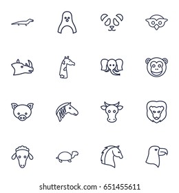 Set 16 Zoology Outline Icons Setcollection Stock Vector (Royalty Free ...