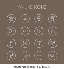 Set Of 16 Zoology Outline Icons Set.Collection Of Giraffe, Owl, Turtle And Other Elements.