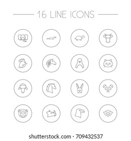Set Of 16 Zoology Outline Icons Set.Collection Of Monkey, Penguin, Feline Bear And Other Elements.