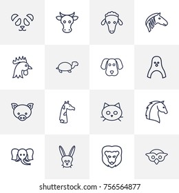 Set Of 16 Zoology Outline Icons Set.Collection Of Giraffe, Mammal, Dog And Other Elements.